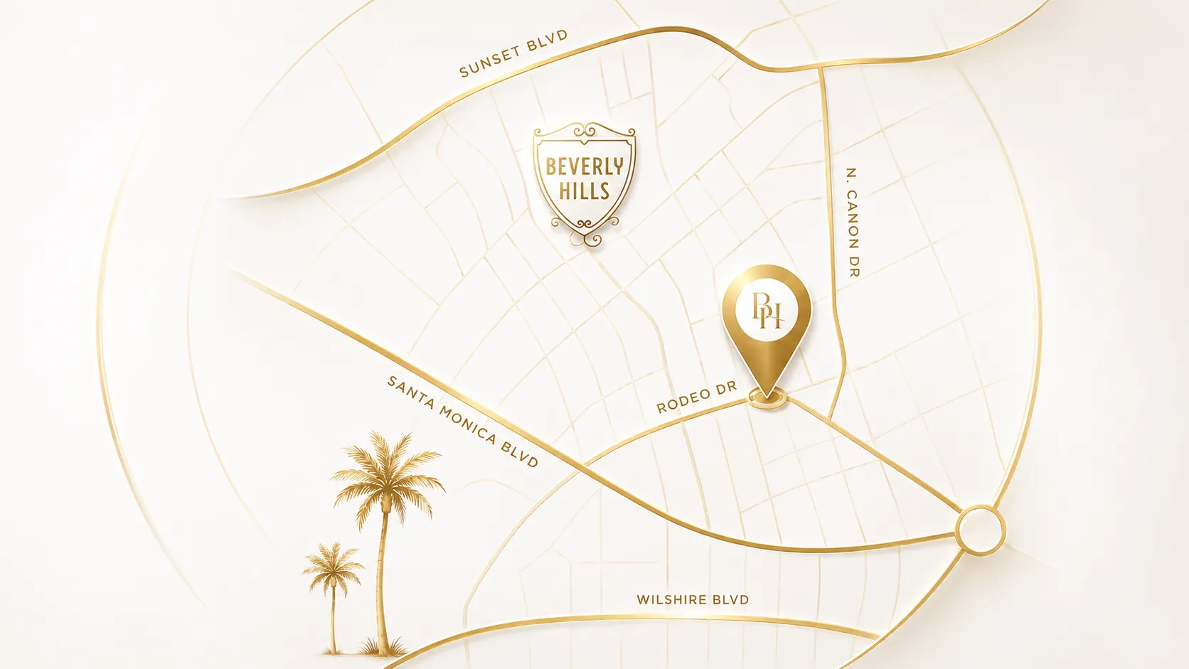RICKY'S AESTHETICS Brisbane location map outline